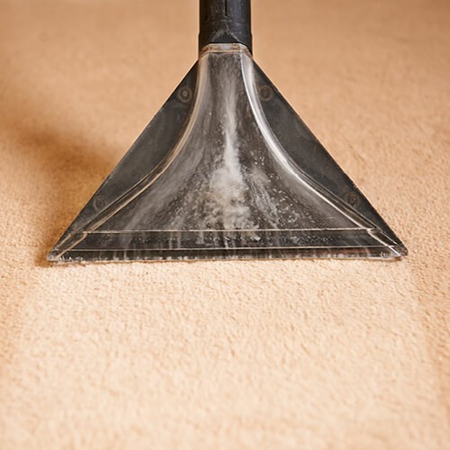 Carpet cleaning | LA Carpet Warehouse, Inc