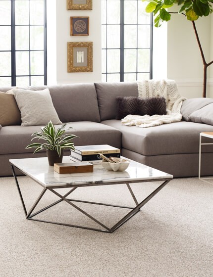 Living room carpet flooring | LA Carpet Warehouse, Inc