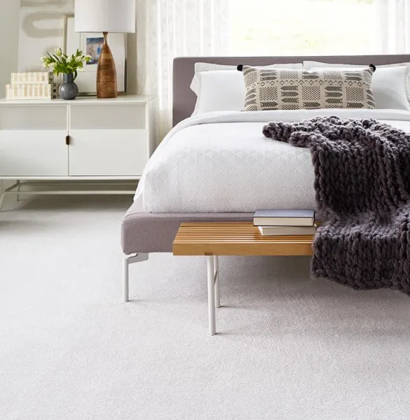 shaw-carpet-1 shaw-carpet-1